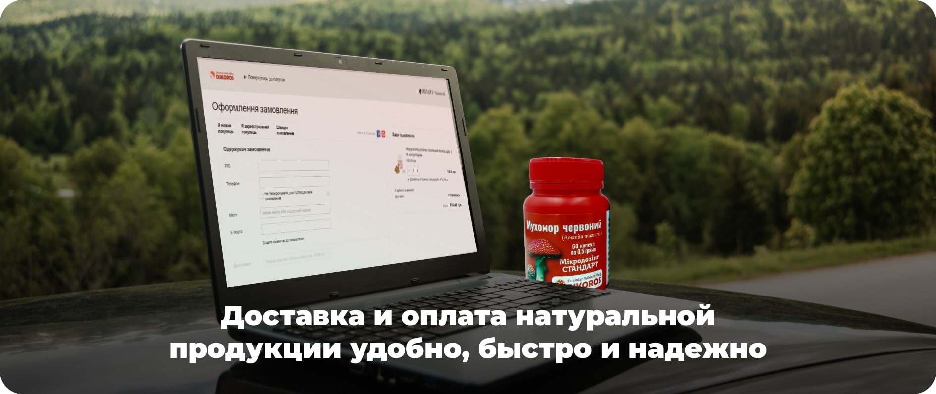 Купить грибы 