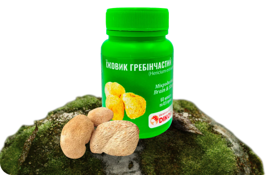 Мікродозінг Brain & Sleep Їжовик гребінчастий купити в Dikoros