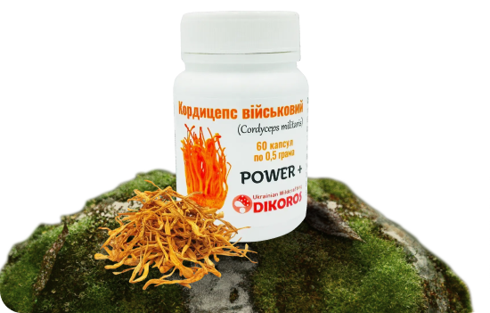 Мікродозінг Power+ Кордицепс військовий купити в Dikoros