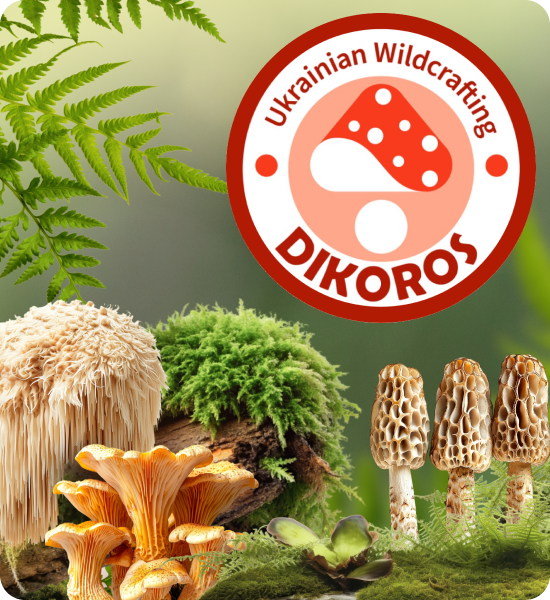 мікродозинг сети купити від Dikoros UA