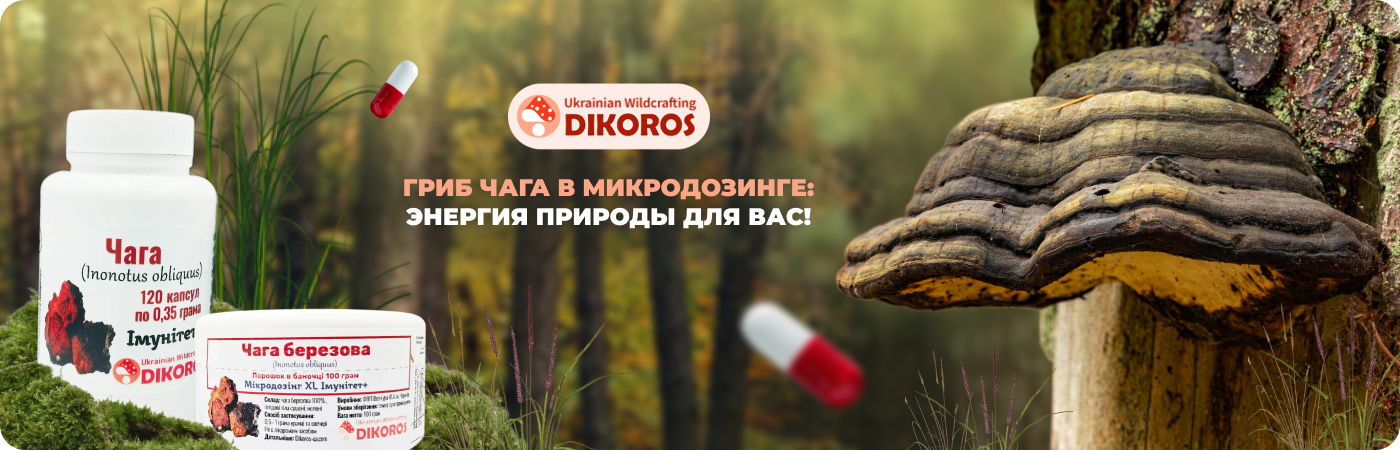 Купить гриб чага в капсулах и порошке в интернет-магазине Dikoros