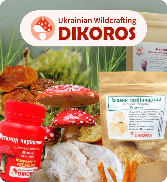 мікродозування грибів купити в Dikoros