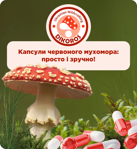 купити капсули червоного мухомора в Дікорос