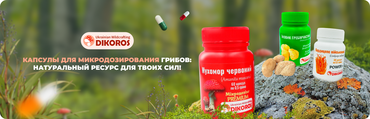  Грибы в капсулах купить в Дикорос