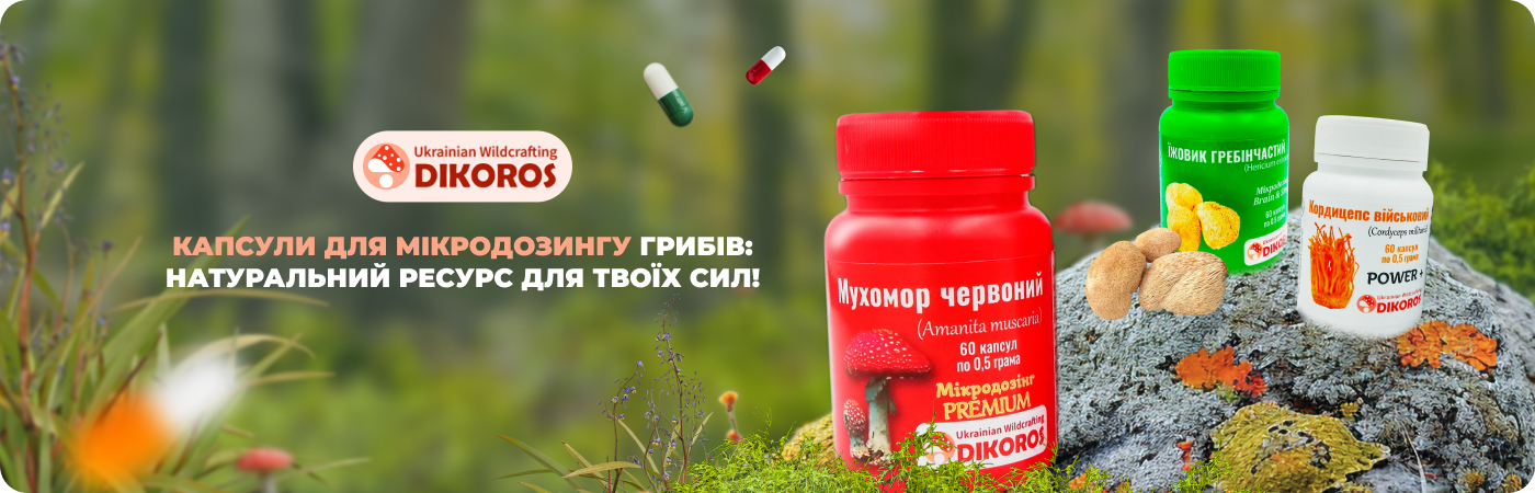 Гриби в капсулах купити в Дікорос