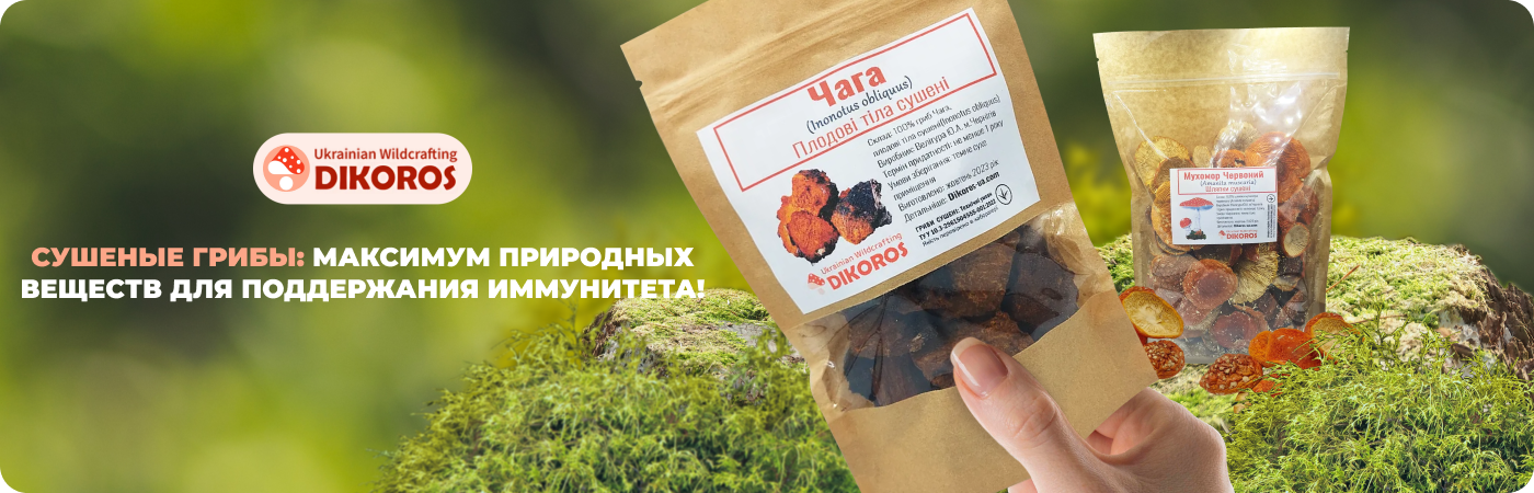 грибы сушеные купить в интернет-магазине Дикорос