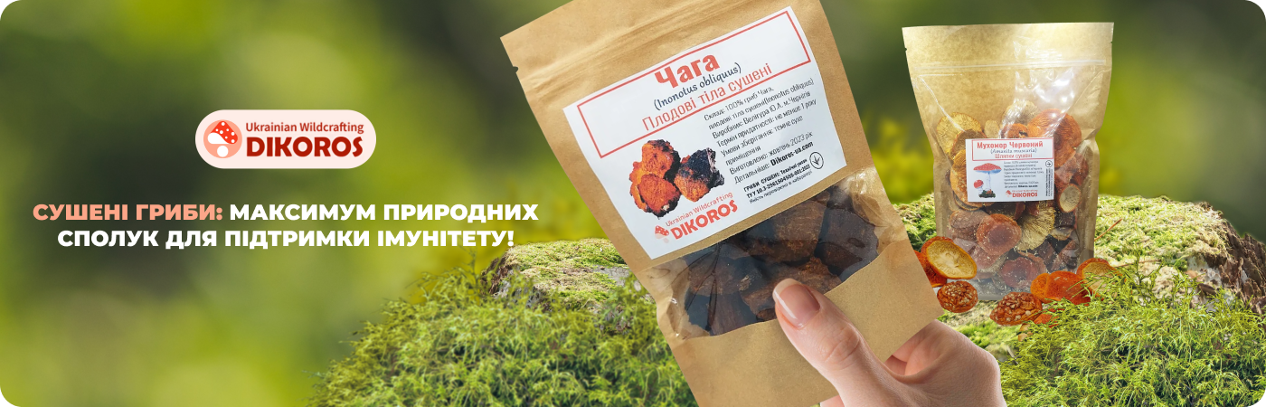 гриби сушені купити в інтернет-магазині Дікорос