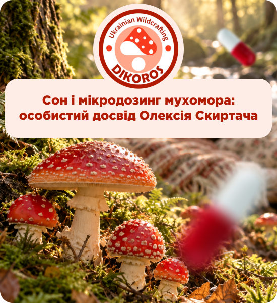 гриби мухомори в капсулах від виробника Дікорос купити