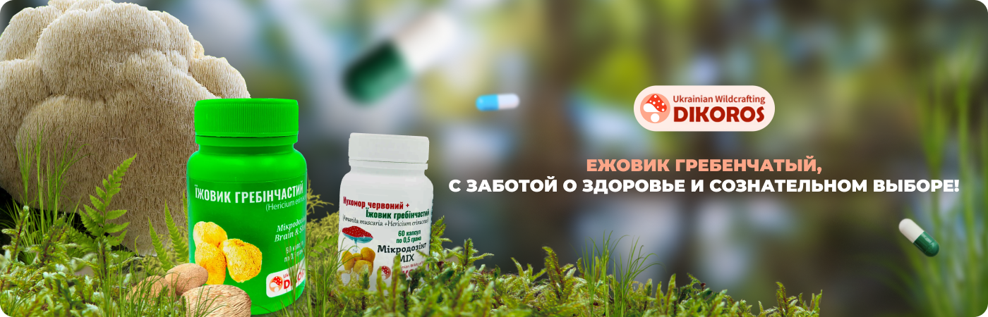 Микродозинг ежовика гребенчатого купить в Dikoros