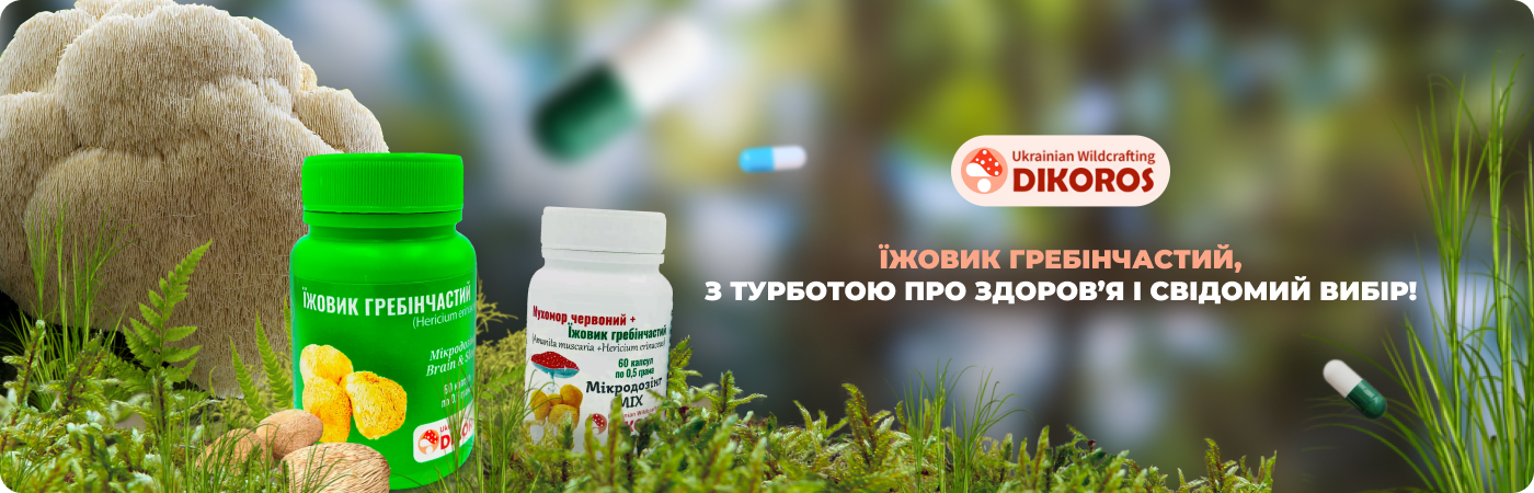 Мікродозінг їжовика гребінчастого купити в Dikoros