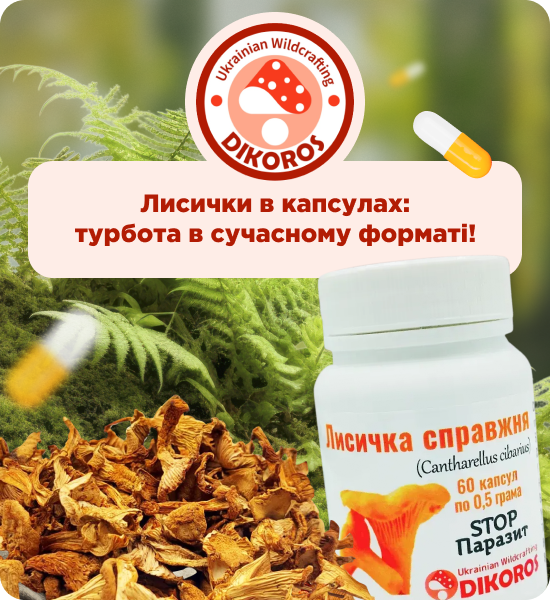 мікродозинг лисички замовити від виробника Dikoros
