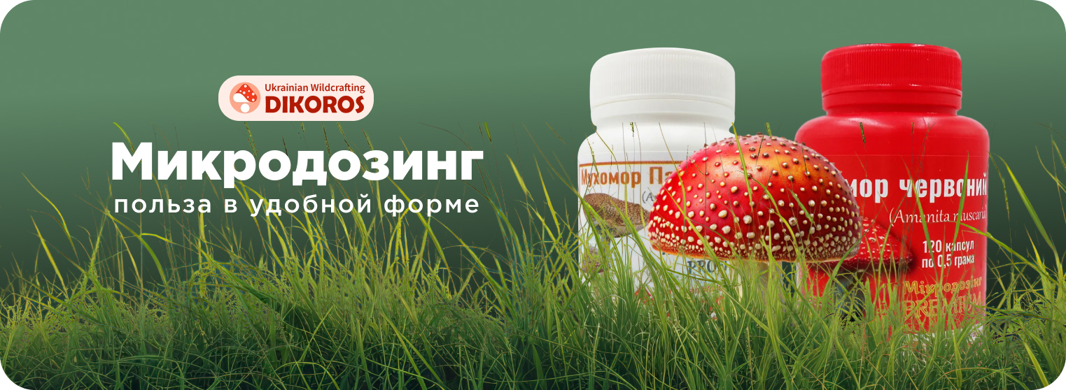 микродозинг грибов купить в Dikoros UA