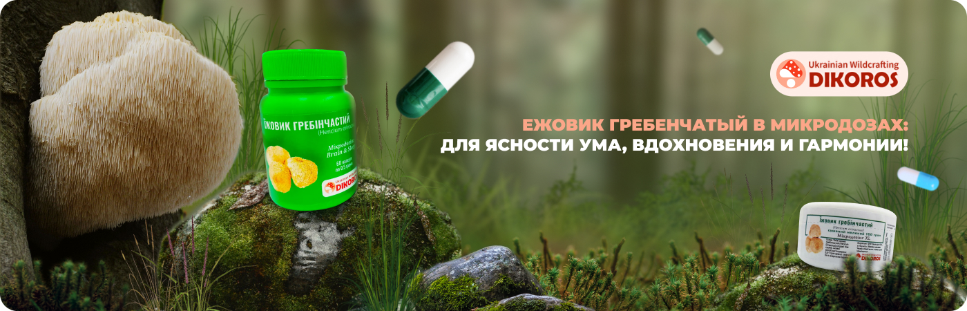интернет-магазин качественного микродозинга ежовика гребенчатого - Dikoros