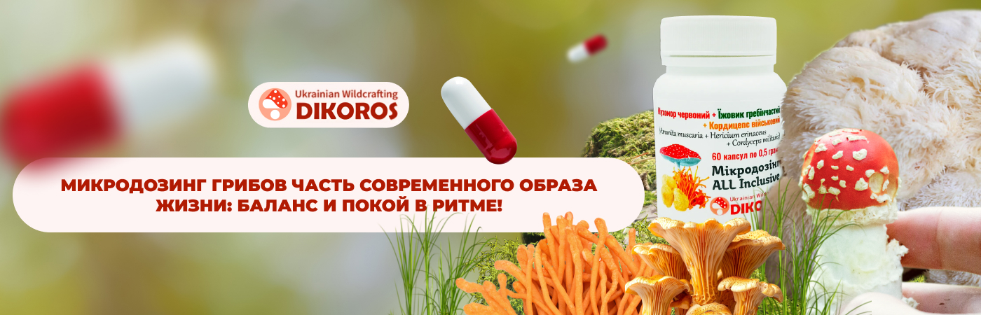 купить микродозинг интернет-магазине Дикорос