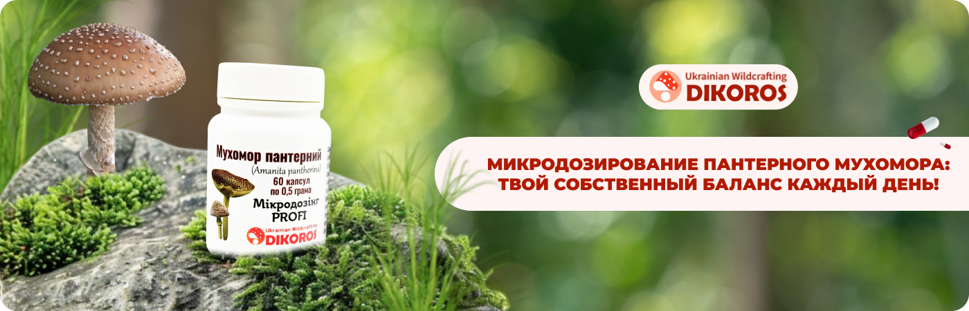 мухомор пантерный купить в капсулах от Dikoros