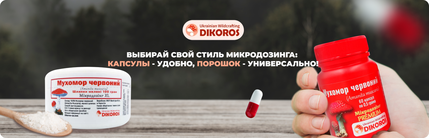 Микродозинг грибов в капсулах и порошке купить в интернет-магазине Dikoros
