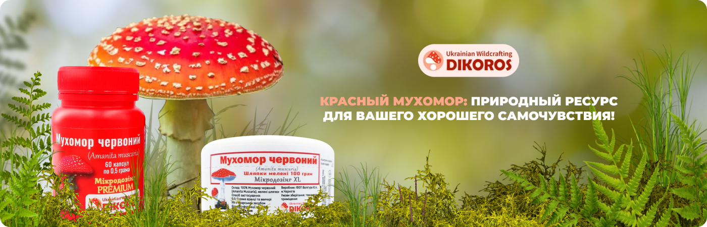интернет-магазин качественного микродозинга мухоморов - Дикорос
