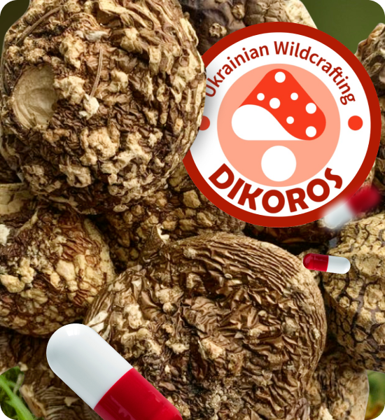 королівський мухомор мікродозинг купити в Dikoros ЮА
