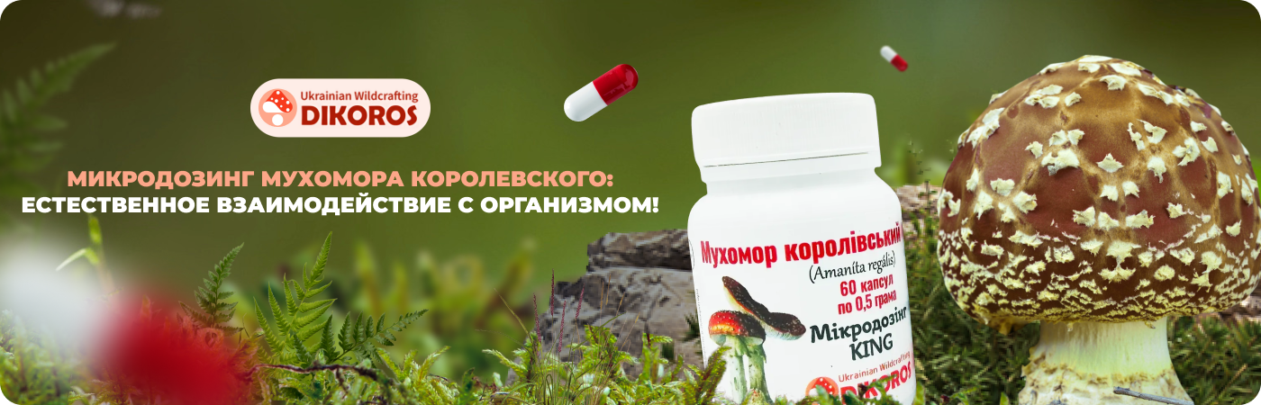Королевский мухомор в микродозинге купить в интернет-магазине DIkoros