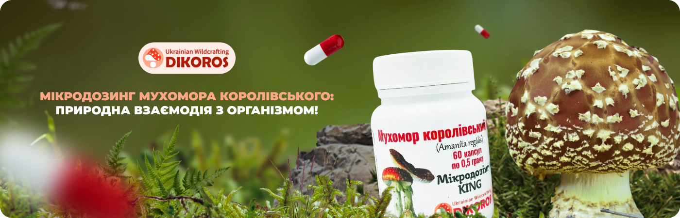 Королівський мухомор у мікродозингу купити в інтернет-магазині DIkoros