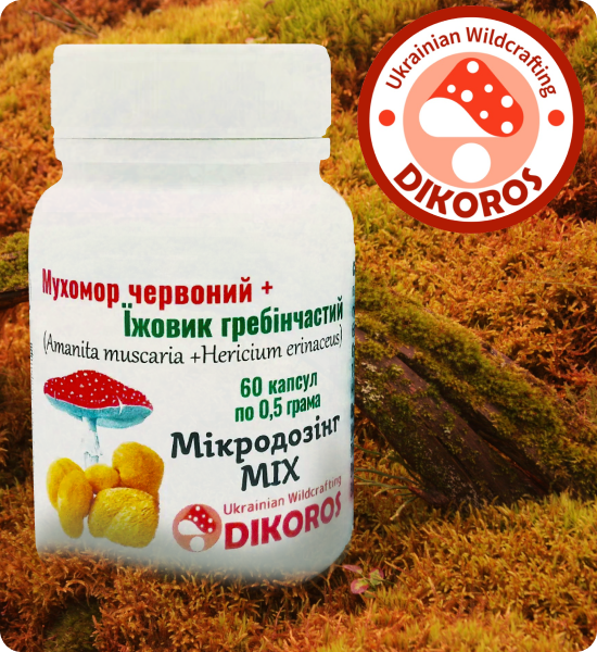 Ежовик купить микродозинг в Dikoros