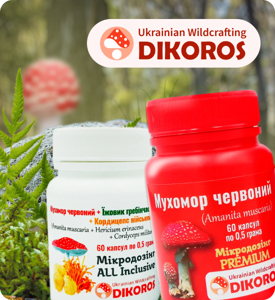 купити мухомори червоні від виробника Дікорос