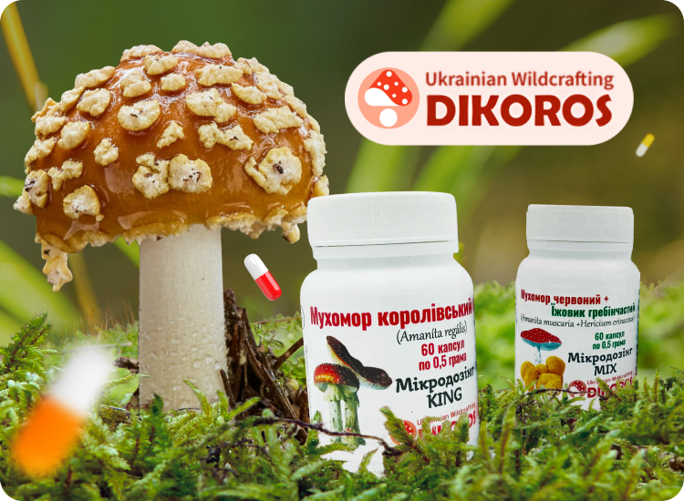 королевский мухомор микродозинг