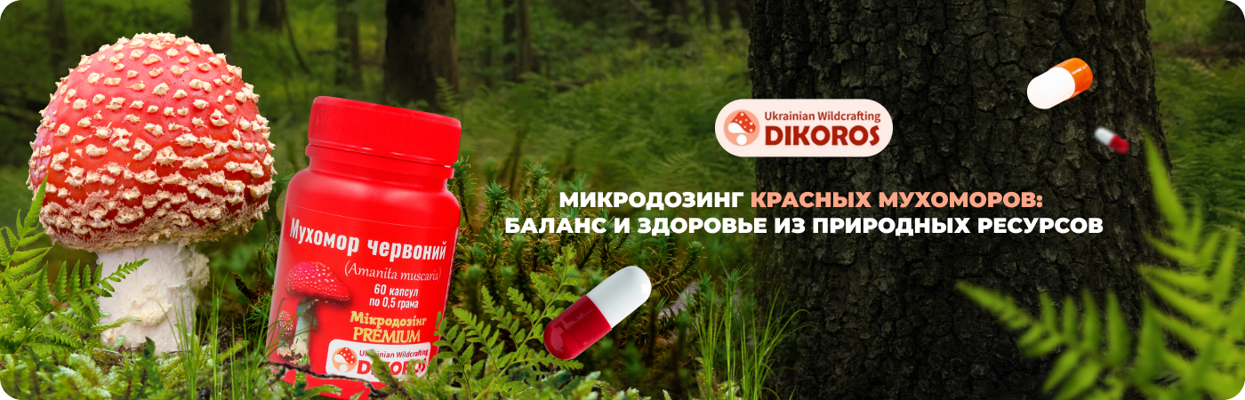 онлайн-магазин микродозинга красных мухоморов - Дикорос