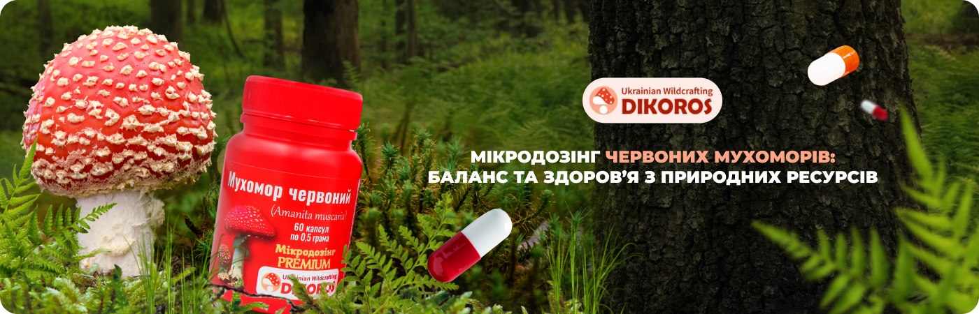 онлайн-магазин мікродозингу червоних мухоморів - Дикорос