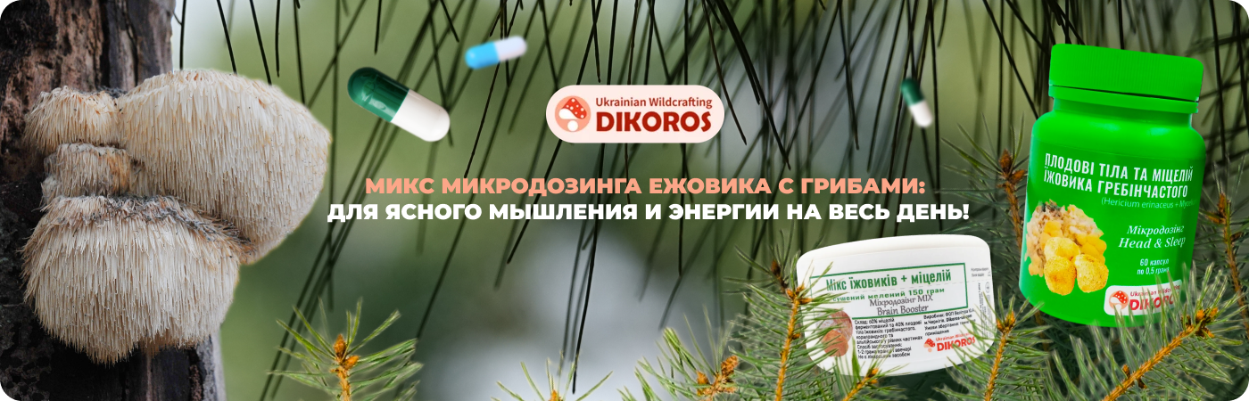 Купить микродозинг ежовика гребенчатого с другими грибами в Dikoros