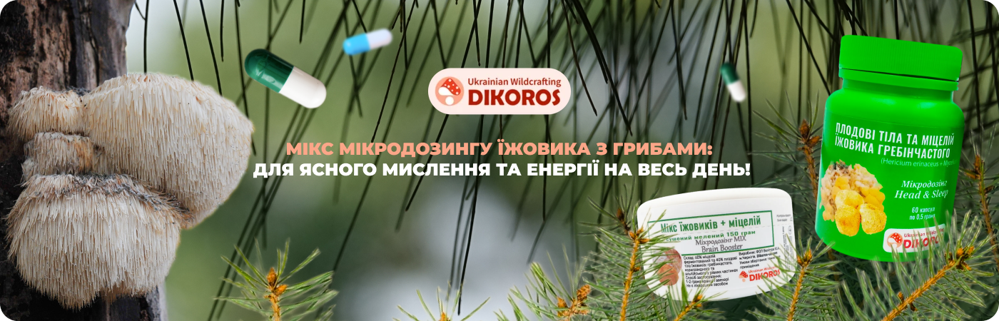 Купити мікродозинг їжовика гребінчастого з іншими грибами у Dikoros