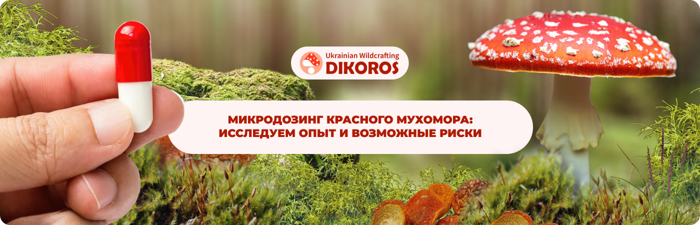 микродозинг грибов купить в интернет-магазине DIkoros