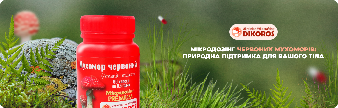 різноманітні гриби в мікродозингу купити в інтернет-магазині DIkoros