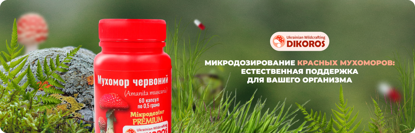 різноманітні гриби в мікродозингу купити в інтернет-магазині DIkoros