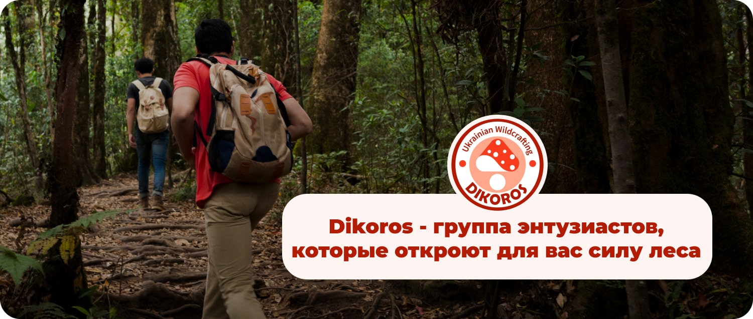 купити дикороси в інтернет-магазині Дікорос
