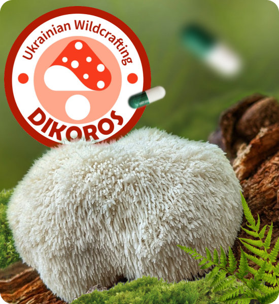Купить продукты для микродозирования от Dikoros