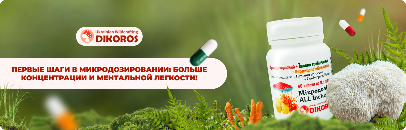 Заказать грибы в капсулах в интернет-магазине Дикорос