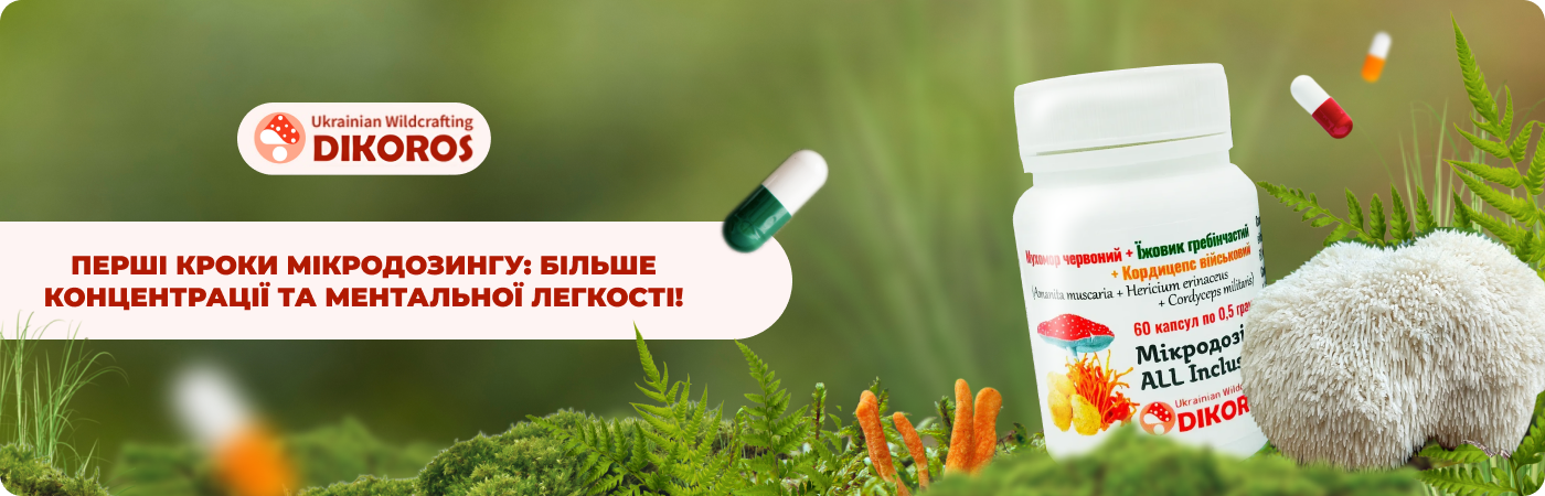 Замовити гриби в капсулах в інтернет-магазині Дікорос