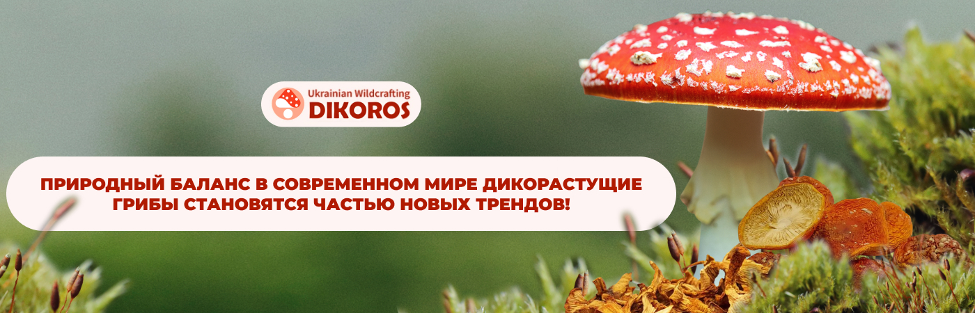 Микродозинг заказать в интернет-магазине Дикорос