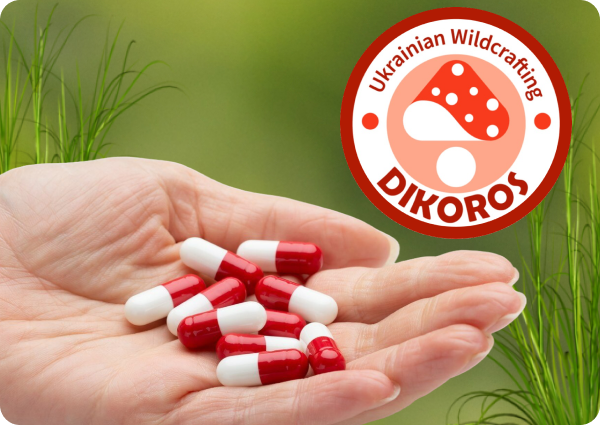 мікродозинг грибів купити в Dikoros