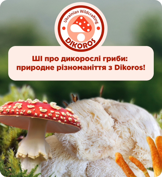 купити мікродозинг грибів в Дікорос