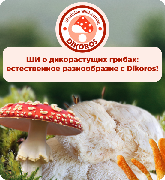 купить микродозинг грибов в Дикоросе
