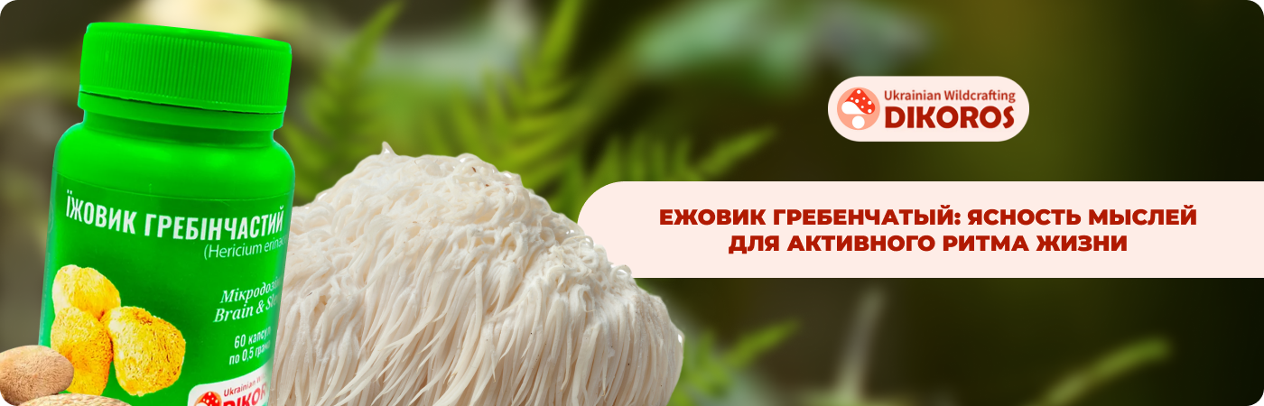 купить микродозинг ежевик в интернет-магазине Dikoros