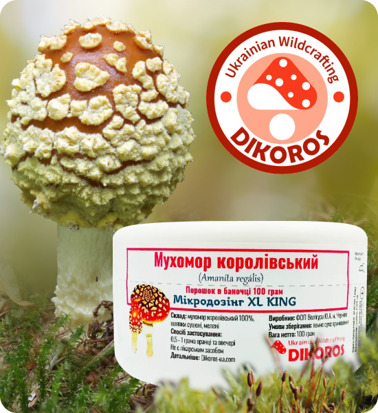купити королівський мухомор мікродозинг в Дікорос