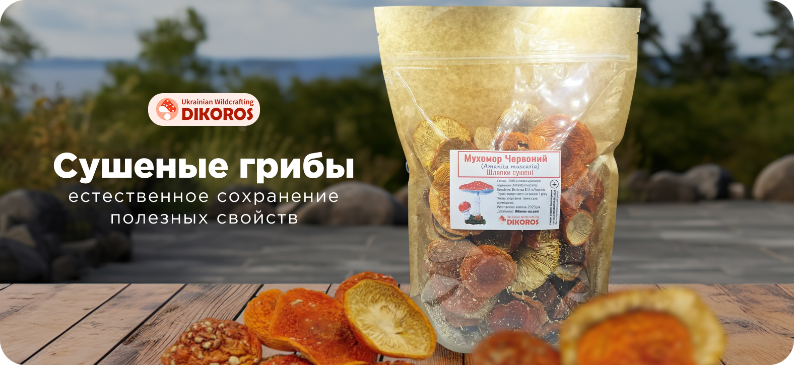 сушёные грибы 