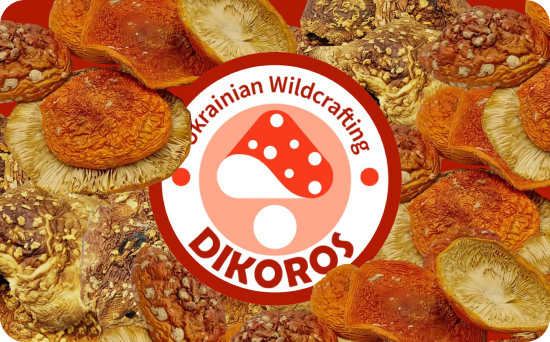 Шапочка мухомора від Дікорос