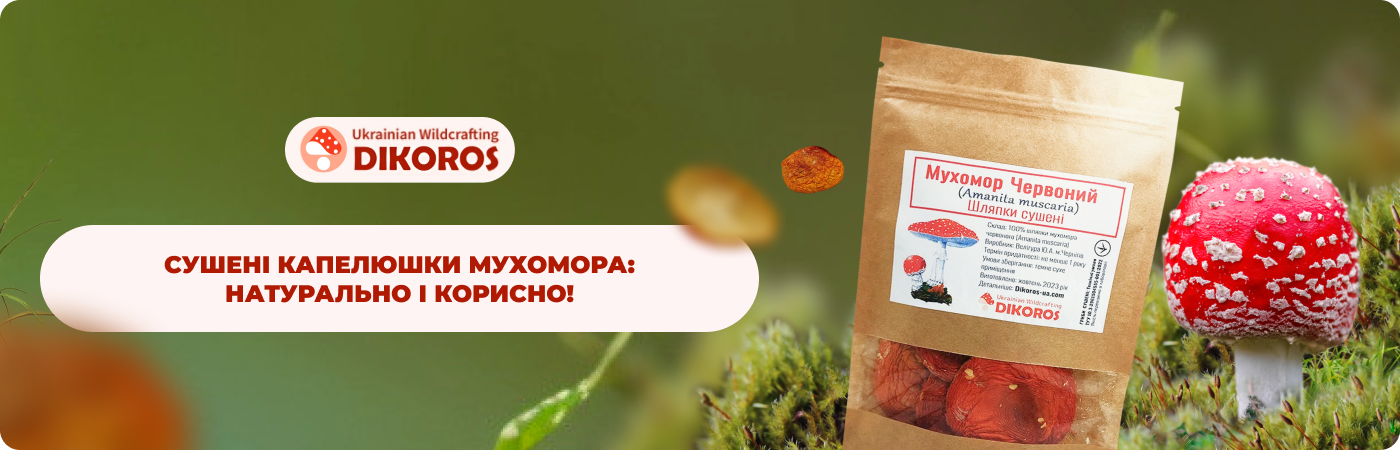 шляпки мухомора купити від виробника Dikoros UA