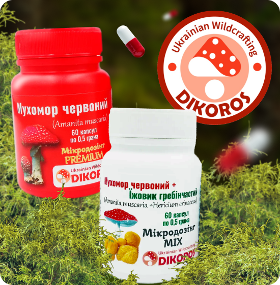 Мухомор микродозинг купить в интернет-магазине Dikoros