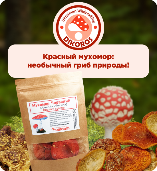 купить сушеные мухоморы от Дикорос