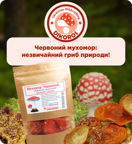 купити сушені мухомори від Дікорос